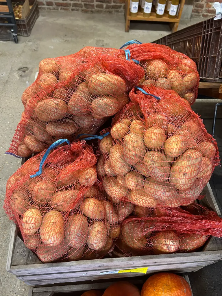 Pom. de terre BIO Maïwenn filet 10kg (chair tendre)