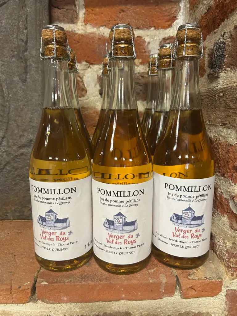 Pommillon - Jus de pomme pétillant 75cl